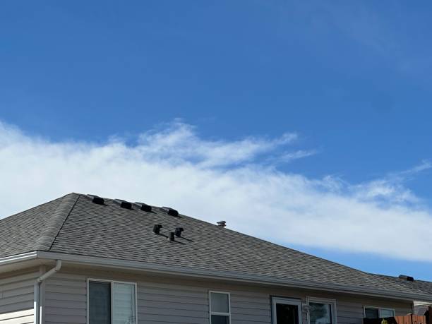 Best Roof Ventilation Installation  in Waldorf, MD